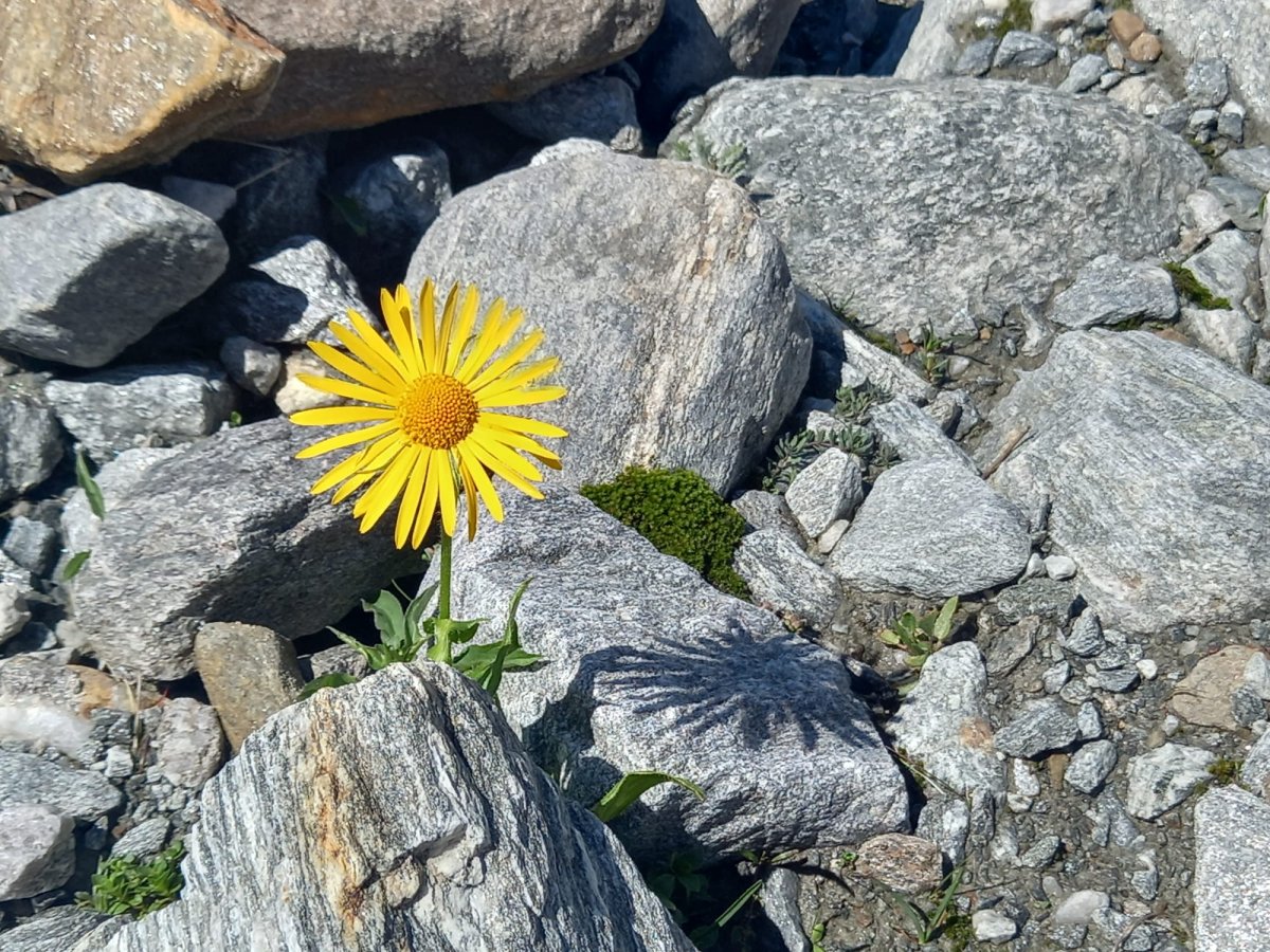 Cabinet Coup de Pouce